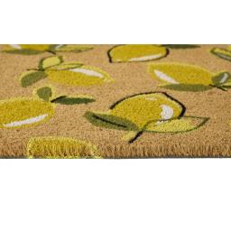 Lemon Coir D1.jpg