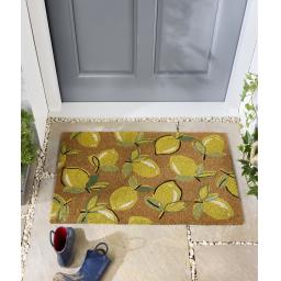 Lemons Coir Mat L1.jpg