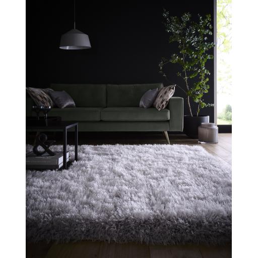 Extravagance Silver Rug L1 .jpg