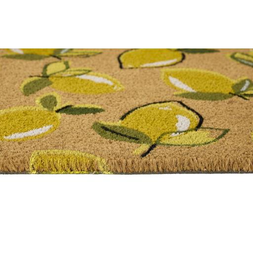 Lemon Coir D1.jpg