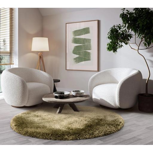 plush_green_circle_ls_2048x.jpg