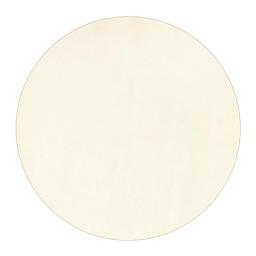 Sense Pumice Stone 200 Circle.jpg