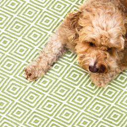 DiamondWashableRugGreenL1.jpg