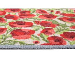 Poppies Galore Detail.jpg