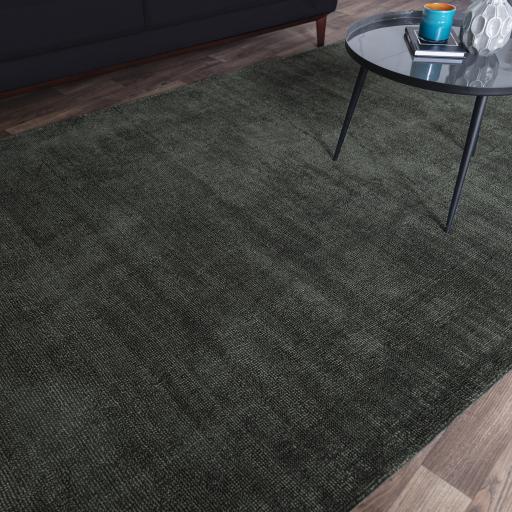 Aston Plain 100% Viscose Silky Sheen Soft Rug in Green 120x170 cm