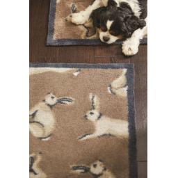 Hares 1 L9.jpg