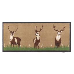 Deer 1 Runner.jpg