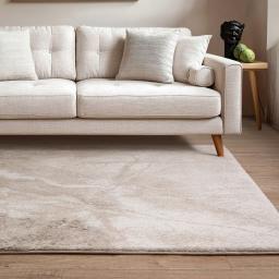 Mirage Haze Beige Rug LS.jpg