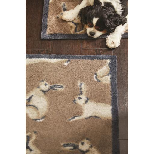 Hares 1 L9.jpg