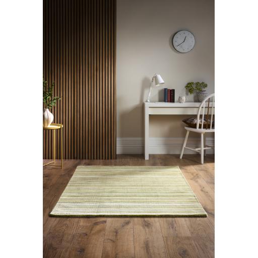 Fine Stripes  Green Lifestyle.jpg