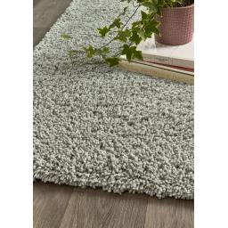 Hadley Eucalyptus D1.jpg