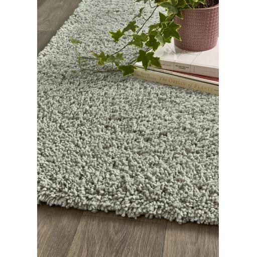 Hadley Eucalyptus D1.jpg