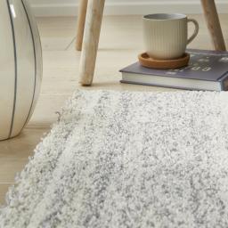 SOM101 WHITE GREY SOCIAL 1.jpg
