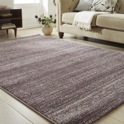 SOM101 PLUM SOCIAL 1.jpg