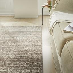 SOM101 BEIGE SOCIAL 3.jpg