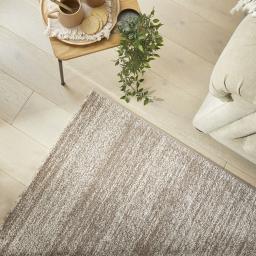 SOM101 BEIGE SOCIAL 2.jpg