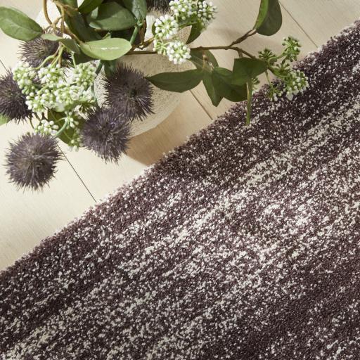 SOM101 PLUM SOCIAL 3.jpg