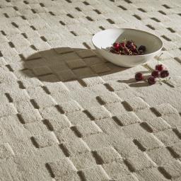 PR-102 SQUARES TAUPE SOCIAL 1.jpg