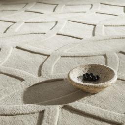PR-101 CIRCLES TAUPE Social 1.jpg