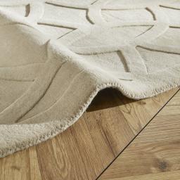 PR-101 CIRCLES TAUPE ROLL.jpg