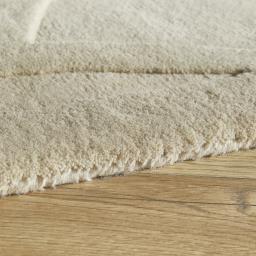 PR-101 CIRCLES BEIGE EDGING.jpg