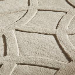 PR-101 CIRCLES TAUPE PILE.jpg