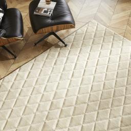 PR-103 DIAMONDS BEIGE CLOSER.jpg