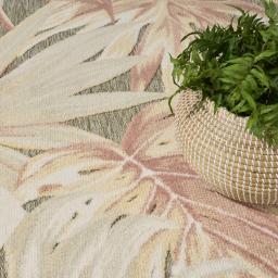 ALOHA_ALH43_SAGRS_SAGE_ROSE_4x6_841491157664_ROOM02.jpg