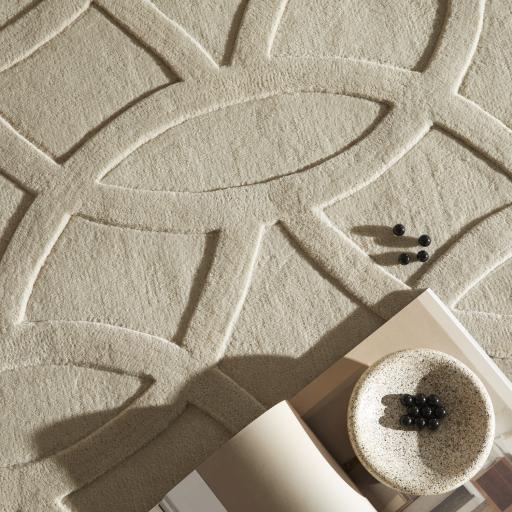 PR-101 CIRCLES TAUPE Social 2.jpg