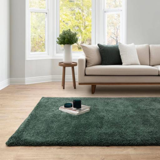 Atlas Shaggy Modern Plain Thick Pile Rug in Emerald Green