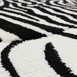 wilder_zebra_mono_4.jpg