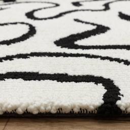 wilder_zebra_mono_5.jpg