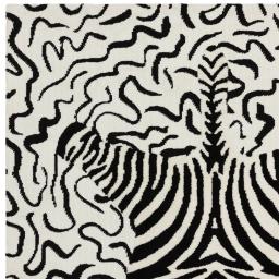 wilder_zebra_mono_2.jpg