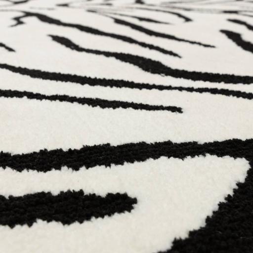 wilder_tiger_mono_4.jpg