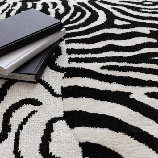 wilder_zebra_mono_cl_sq.jpg