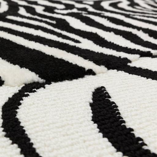 wilder_zebra_mono_4.jpg