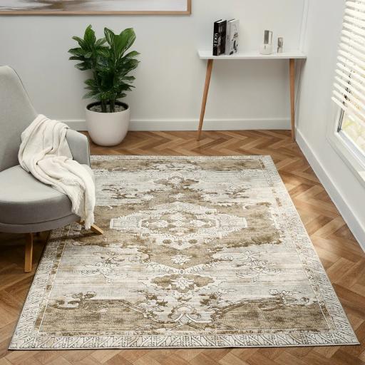 Petra Ajanta Classic Bordered Traditional Vintage Medallion Natural Rug and Hall Runners