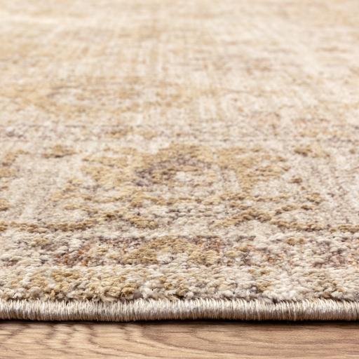 Heriz HE05 Ornate Beige_5.jpg