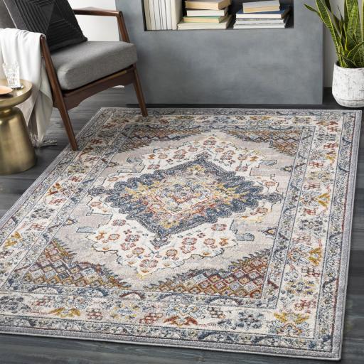 Ankara AKR2300 Vintage Traditional Oriental Antique Boho Grey Area Rug