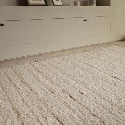 Napa Ladder CL SQ.jpg