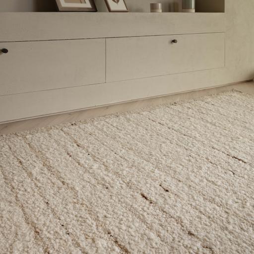 Napa Ladder CL SQ.jpg