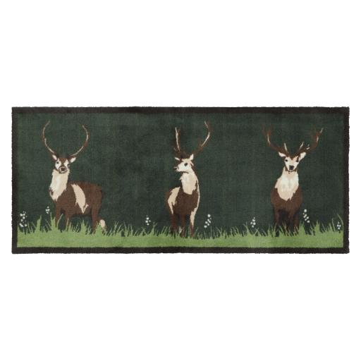 Green Deer Runner OH 65x150.jpg