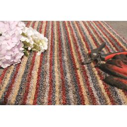 My candy spice stripe L2.jpg