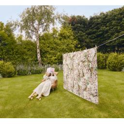 Wild Hydrangea L1.jpg