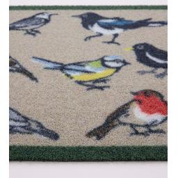 Bird Watcher Outdoor D_01.jpg