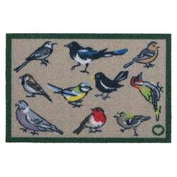 Bird Watcher Outdoor OH_01.jpg