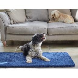 Midnight Blue Runner.jpg