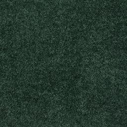 MyRugForestGreen-D2_62004f54-193b-47be-97be-5f38b18886fb.jpg