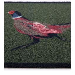 Pheasant Green 2 Outdoor D_01.jpg