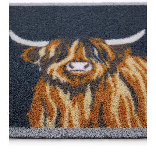 Highland Cow Outdoor D_01.jpg